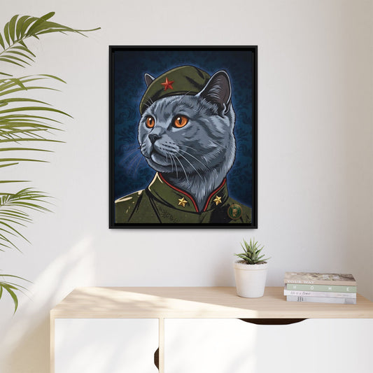 The British Shorthair